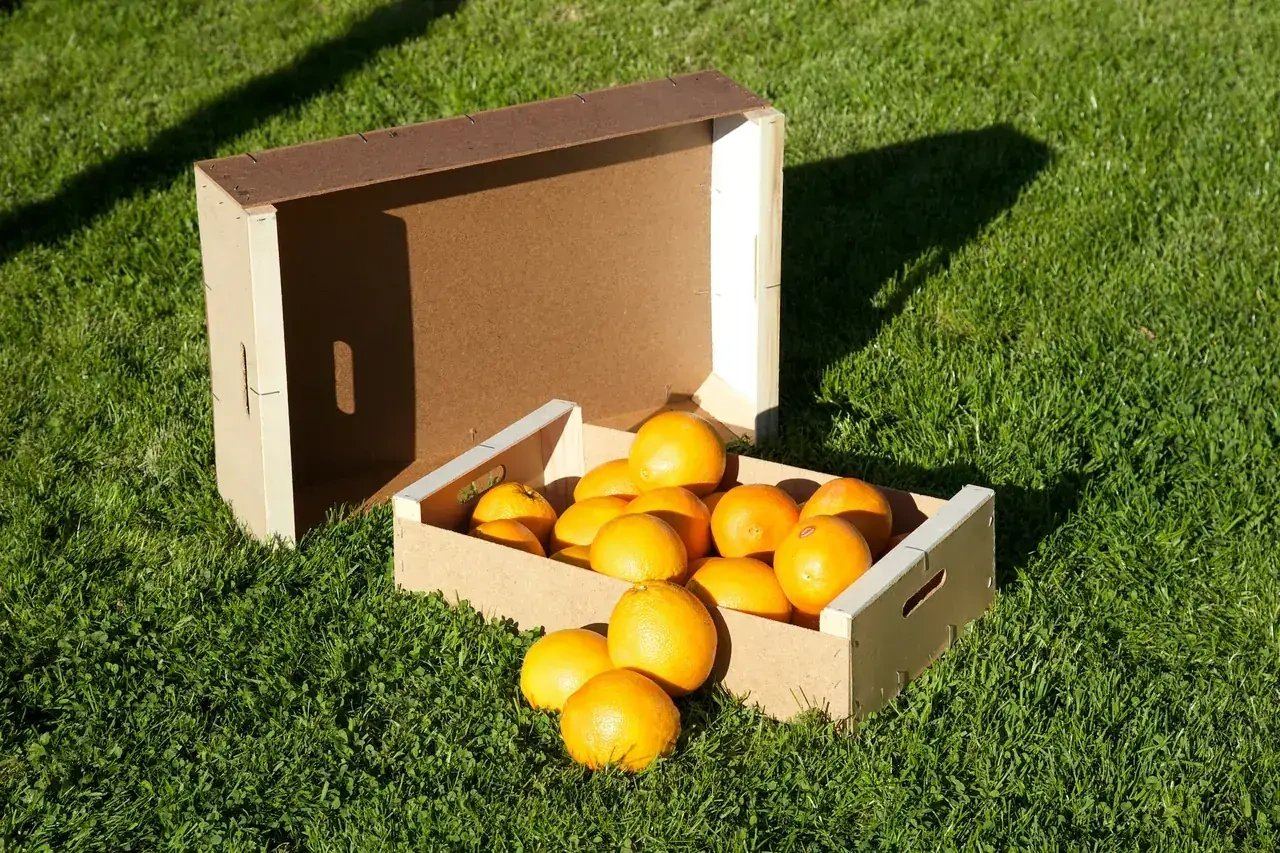 Hardboard fruit crate application — BAYOU Turkey hardboard for packaging